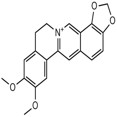 Epiberberine