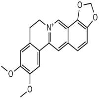 Epiberberine
