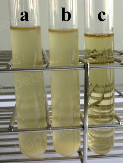 M-肉汤培养基的原理及使用方法