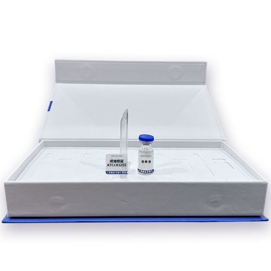 艰难梭菌ATCC43255