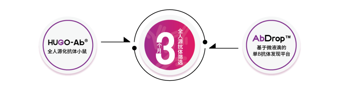 高通量全人源抗体发现平台