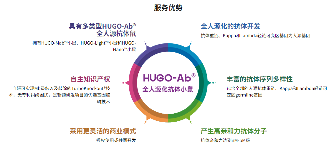 高通量全人源抗体发现平台