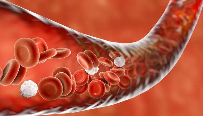 细胞培养新视野：细胞灌流培养与活细胞成像全攻略