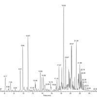 中药复方成分分析及入血成分和代谢物分析