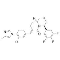 gamma-Secretase Modulators