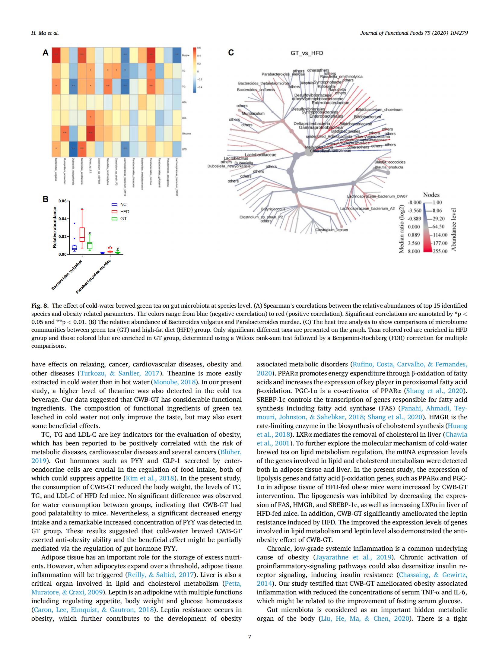 60%脂肪供能高脂饲料 小鼠肥胖模型饲料