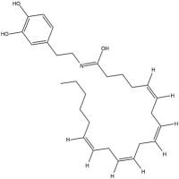 N-Arachidonoyl Dopamine