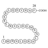 parathyroid hormone (7-34) [Homo sapiens]/[Macaca fascicular