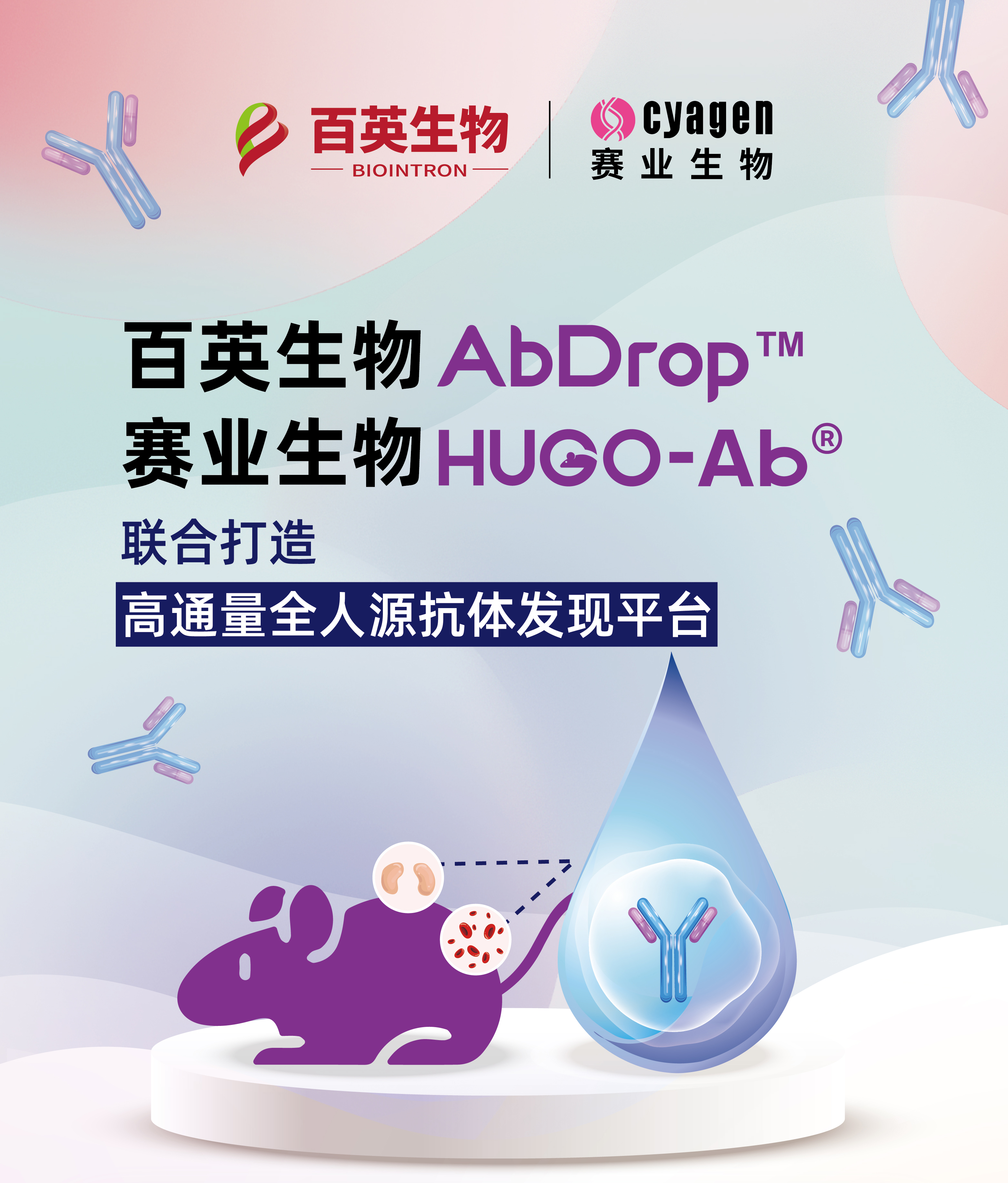 高通量全人源抗体发现平台