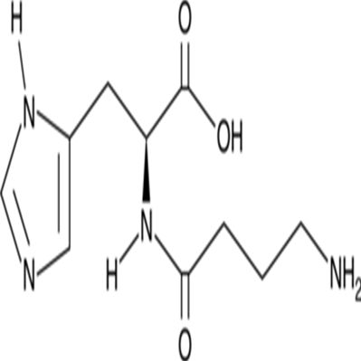 Homocarnosine