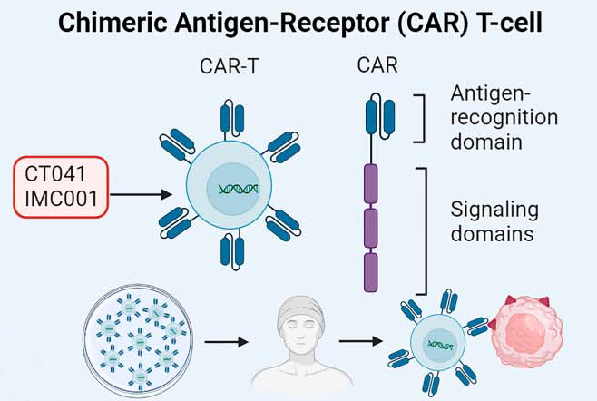 “靶”向“胃”来，Claudin18.2熠熠生辉，单抗、双抗、CAR-T、ADC蓄势待发