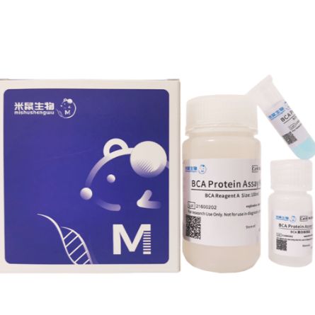 BCA蛋白含量检测试剂盒