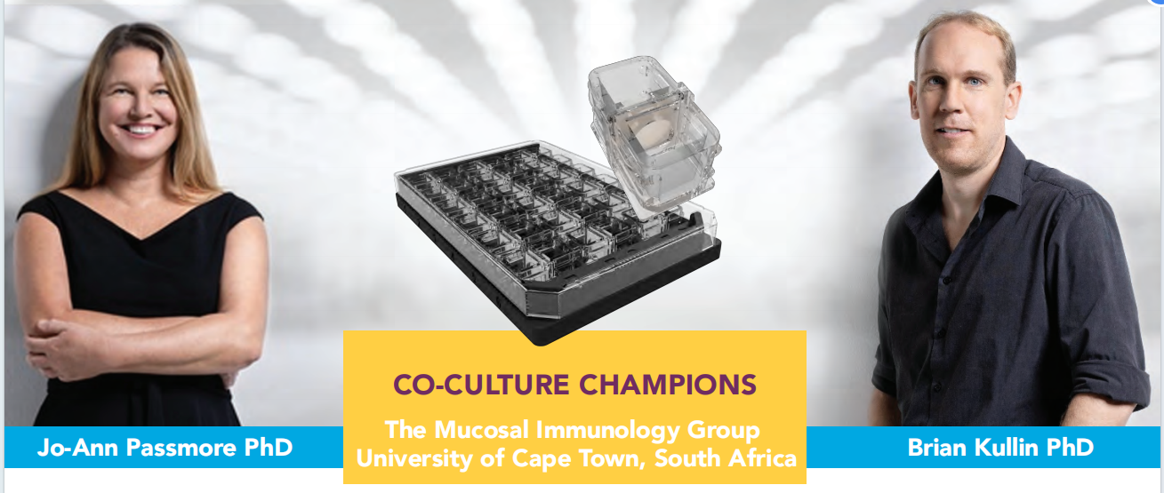 干货分享——聊聊微生物共培养那些事