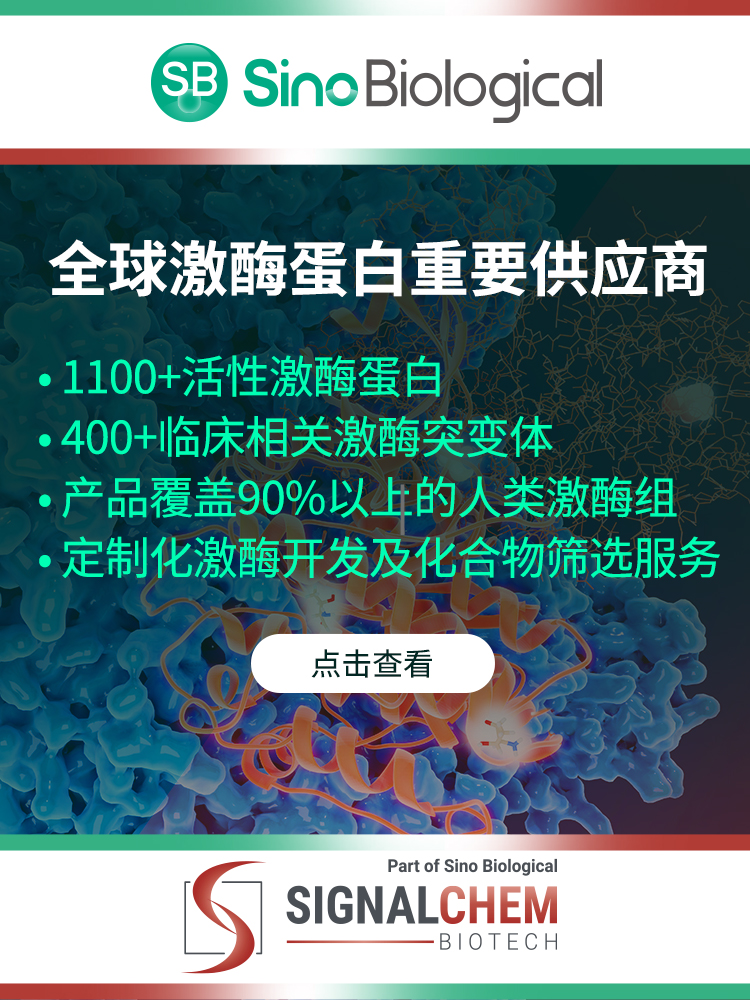 蛋白激酶的“兼职”：重要的药物靶点