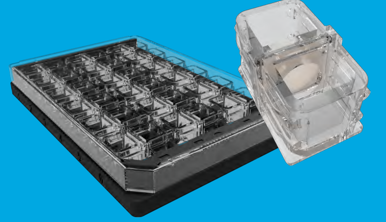 干货分享——聊聊微生物共培养那些事