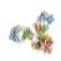 英国Ludger 糖基化分析和检测产品