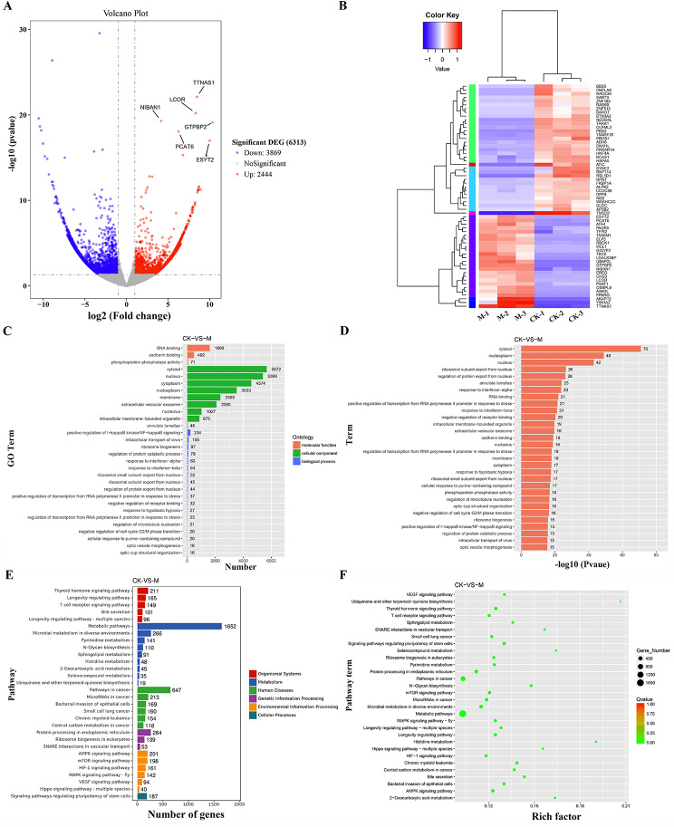 外泌体技术服务 外泌体技术服务