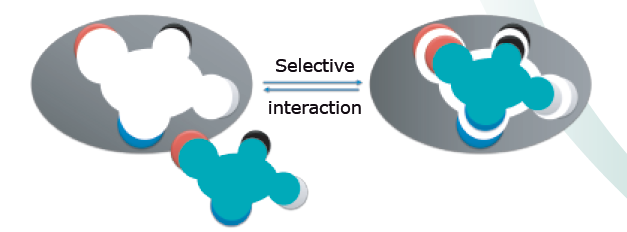 nanomyp纳米类材料 Tiss系列(Tiss Serie