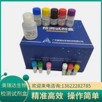 人类嗜T淋巴细胞Ⅰ型病毒（HTLV-Ⅰ）ELISA检测试剂盒