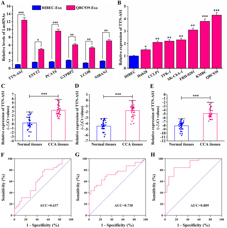 QPCR检测 QPCR检测