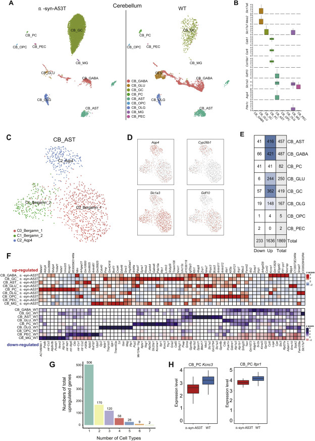 文献解读 | 帕金森病小鼠模型脑单细胞图谱