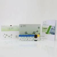 恩诺沙星(Enrofloxacin)ELISA科研试剂盒