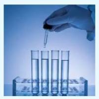 Helicase DNA Unwinding Assay Kit