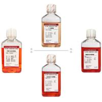 HBSS Hank‘s平衡盐溶液