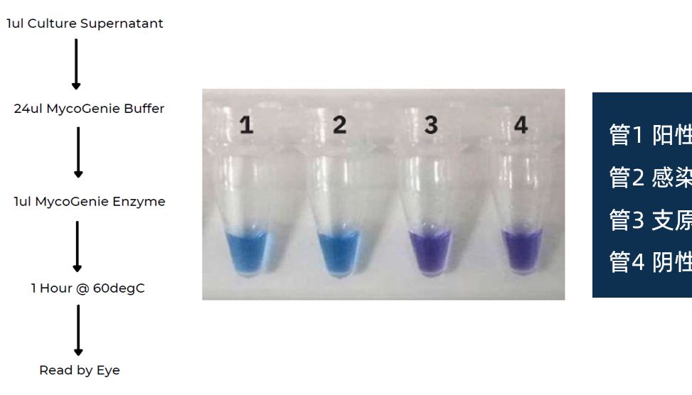 细胞培养如何有效规避风险，提高培养成功率？