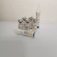 产碱普罗威登斯菌