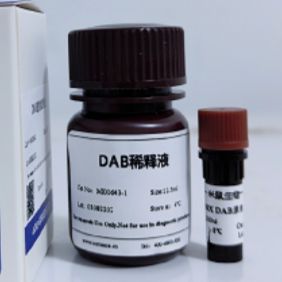 DAB显色试剂盒