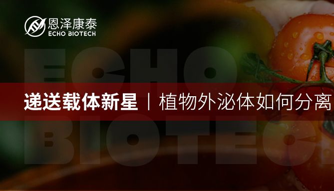 递送载体新星|植物外泌体如何分离