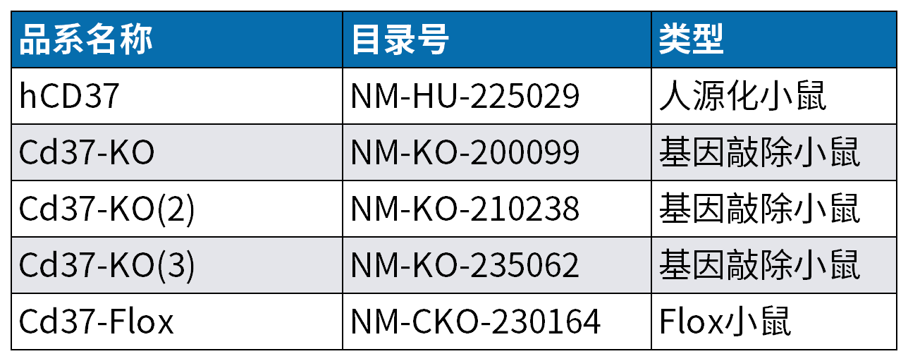 治疗急性髓细胞性白血病的新靶点--CD37