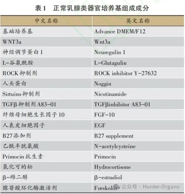 新闻图片1