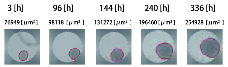 瑞士insphero 公司3D细胞悬滴培养板