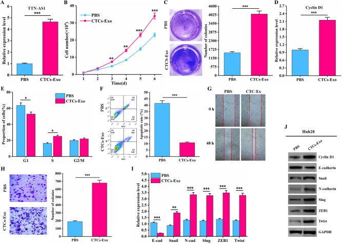 细胞功能实验 细胞功能实验