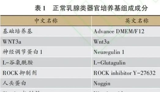 研究进展丨乳腺癌类器官研究进展及中医药应用展望