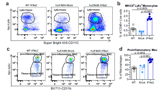 文献解读 | 干扰素刺激了HBV感染人源化小鼠模型的免疫谱变化
