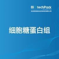 细胞糖蛋白组