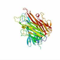 Recombinant Human COQ9