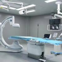 大动物实验/整体课题/课题外包