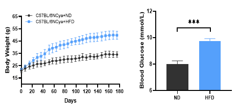 Nature重磅：小鼠模型带来的代谢疾病与肿瘤免疫关系新视角