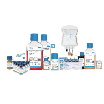 间充质干细胞系列产品-埃泽思