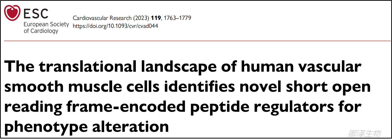 Cardiovasc Res. | Ribo-seq技术助力阐释VSMCs表型改变过程中的翻译调控
