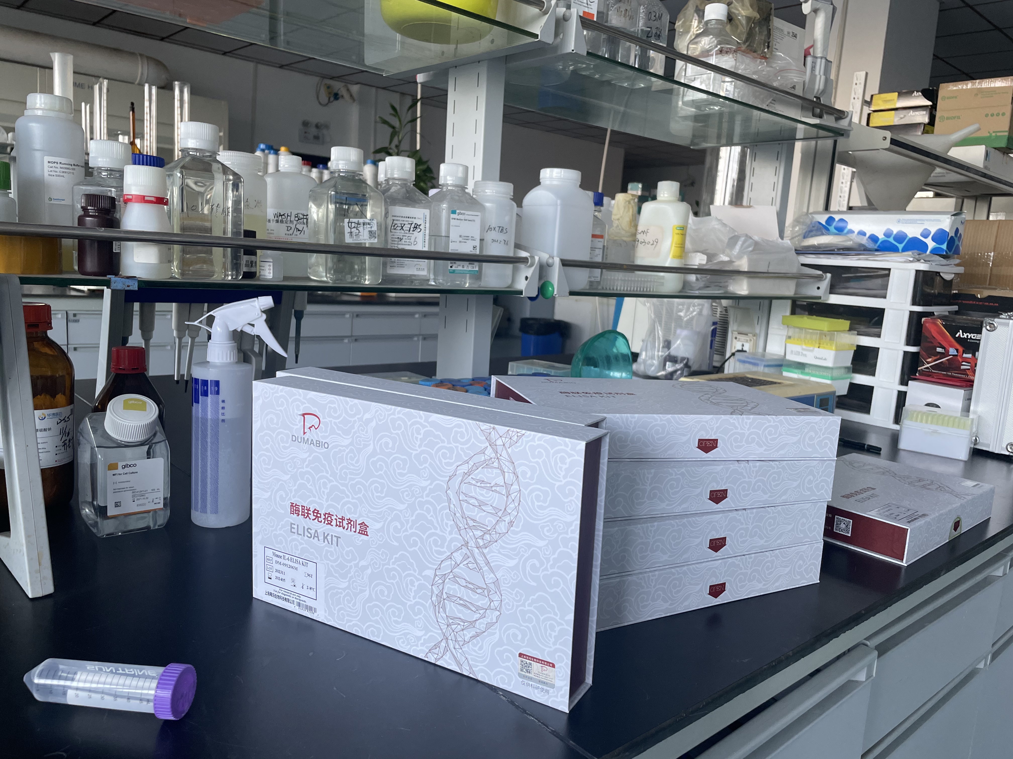 豚鼠胰岛素样生长因子结合蛋白4(IGFBP-4)酶联免疫试剂盒