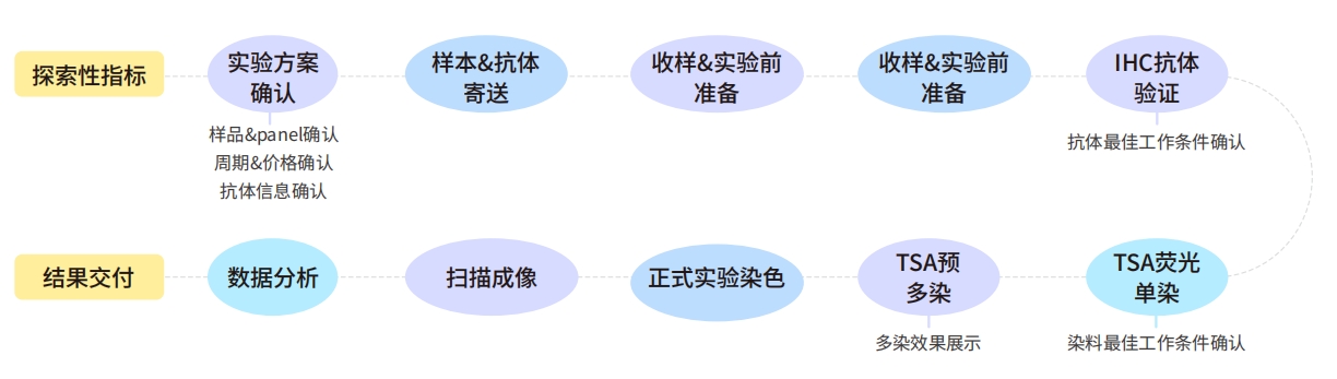 新闻图片3