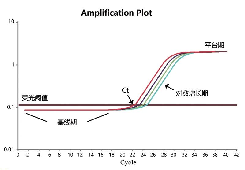 无论你是“E人”或是“I人”，今天我们都是“P人”