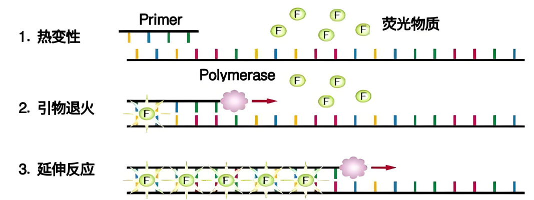 无论你是“E人”或是“I人”，今天我们都是“P人”