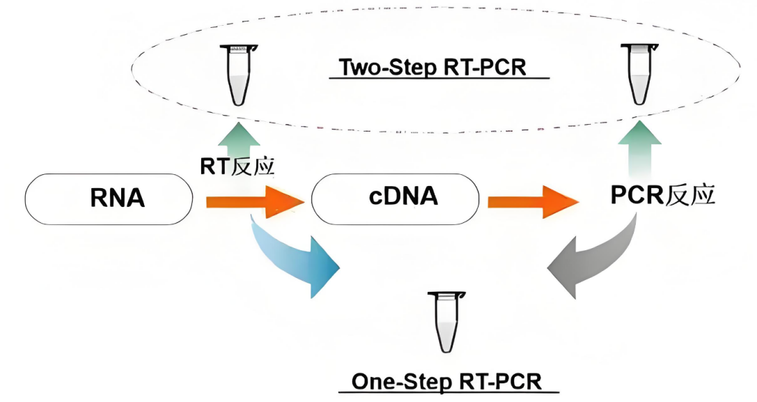 无论你是“E人”或是“I人”，今天我们都是“P人”