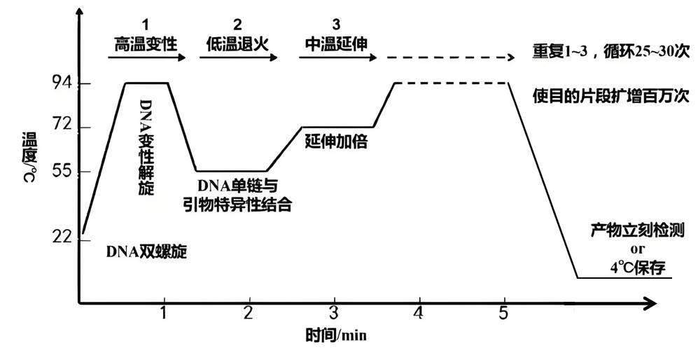 无论你是“E人”或是“I人”，今天我们都是“P人”